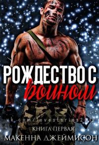 Обложка книги «Рождество с воином»