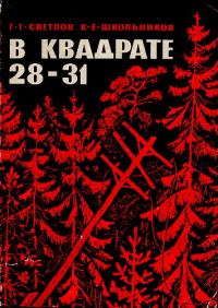 Обложка книги «В квадрате 28-31»