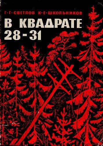Обложка книги «В квадрате 28-31»