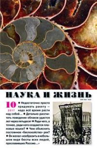 Обложка книги «Элфи»