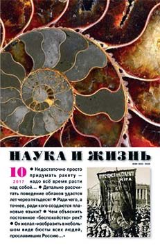 Обложка книги «Элфи»