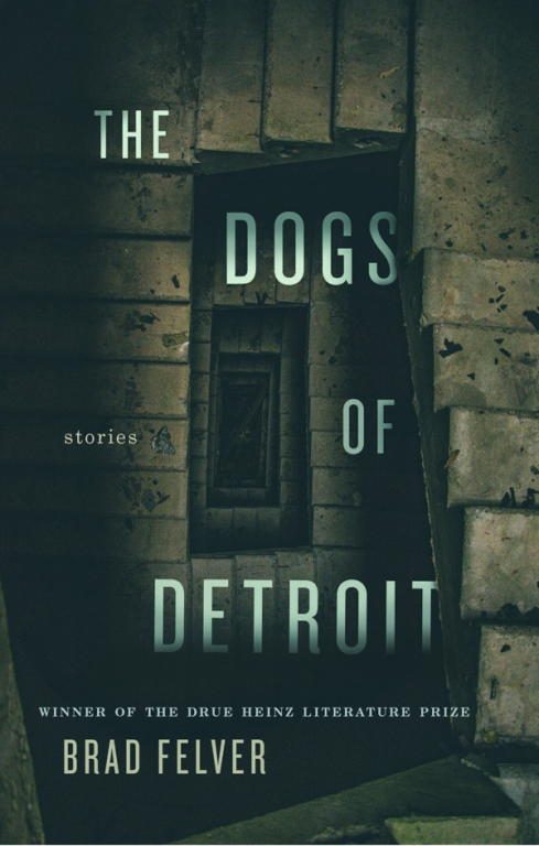 Обложка книги «The Dogs of Detroit»