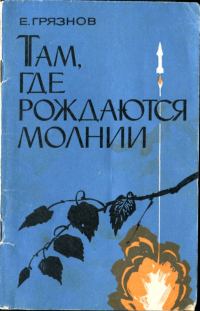 Обложка книги «Там, где рождаются молнии»
