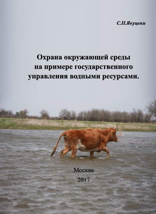 Обложка книги «Охрана окружающей среды на примере государственного управления водными ресурсами»