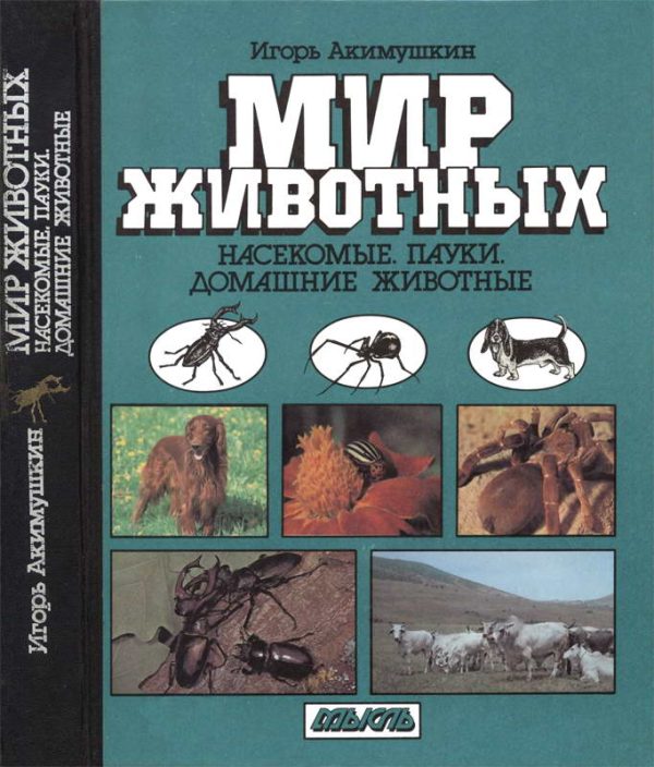Обложка книги «Мир животных: Насекомые. Пауки. Домашние животные»