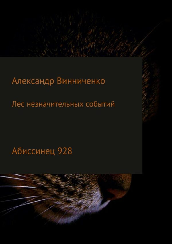 Обложка книги «Абиссинец 928»