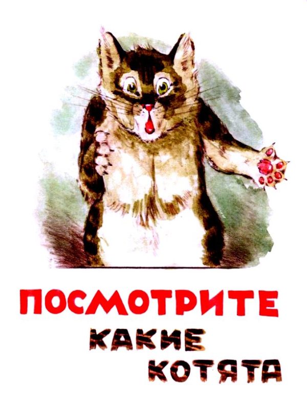 Обложка книги «Посмотрите, какие котята!»
