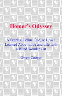 Обложка книги «Homer's Odyssey»