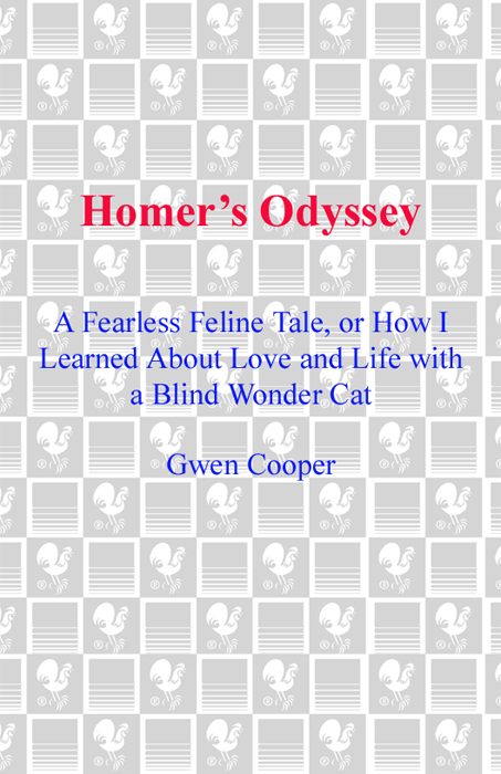 Обложка книги «Homer's Odyssey»
