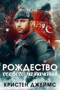 Обложка книги «Рождество особого назначения»