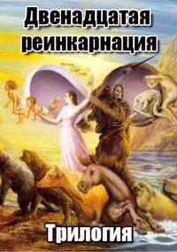 Обложка книги «Двенадцатая реинкарнация»