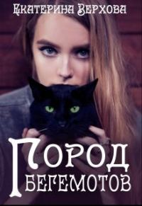 Обложка книги «Город Бегемотов»