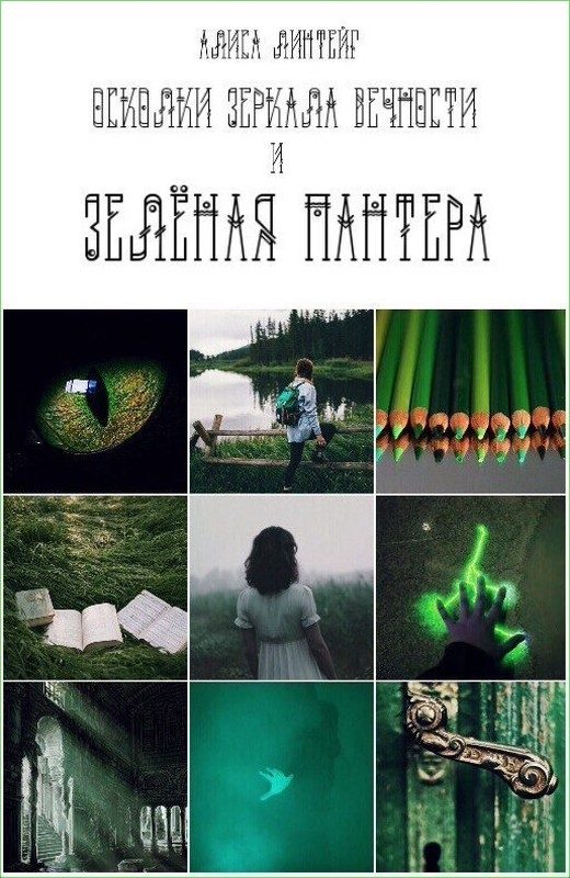 Обложка книги «Осколки зеркала Вечности и зелёная пантера»
