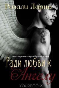 Обложка книги «Ради любви к Ангелу»