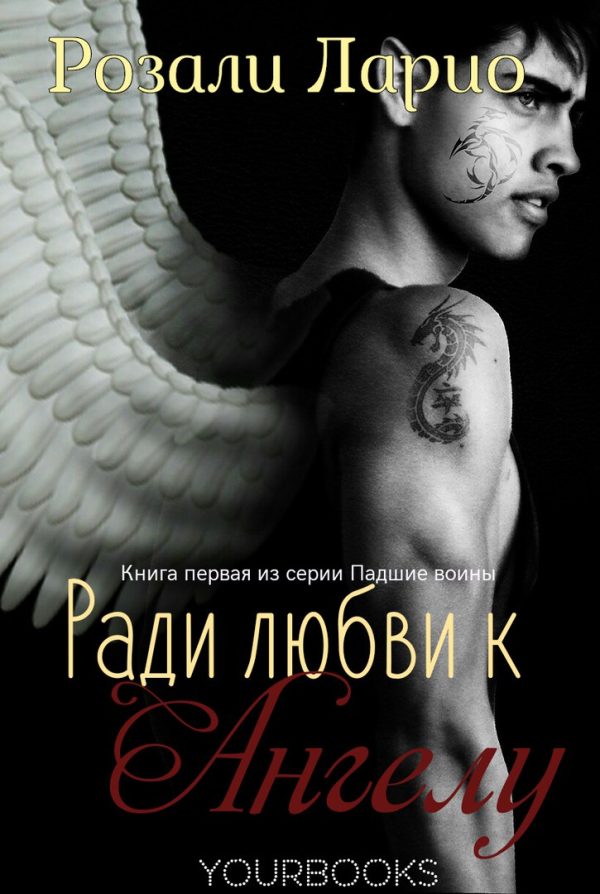 Обложка книги «Ради любви к Ангелу»