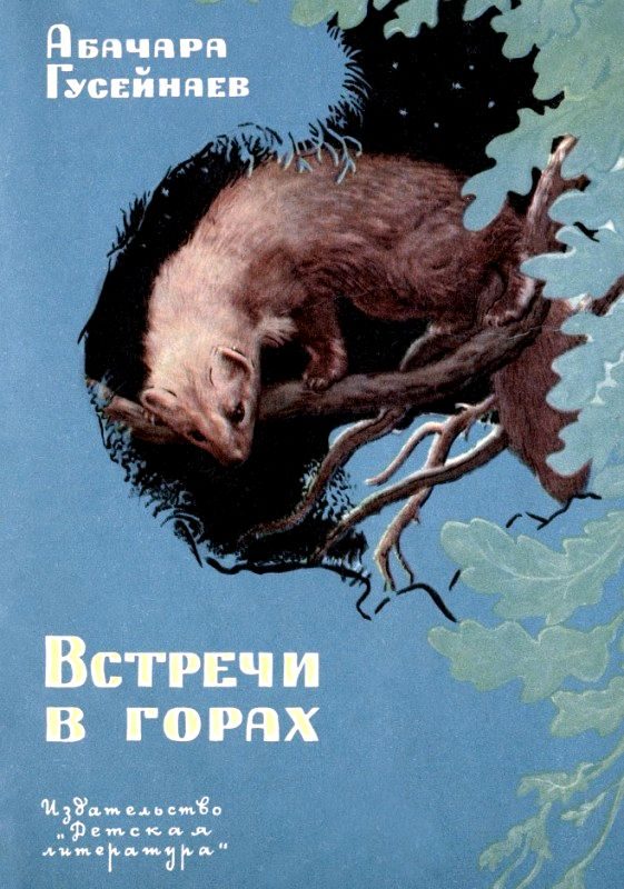 Обложка книги «Встречи в горах»