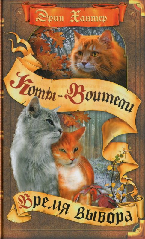 Обложка книги «Время Выбора»