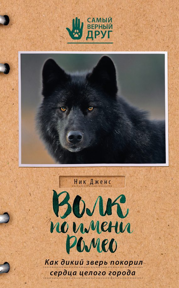 Обложка книги «Волк по имени Ромео. Как дикий зверь покорил сердца целого города»