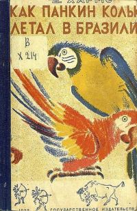 Обложка книги «О том, как Колька Панкин летал в Бразилию, а Петька Ершов ничему не верил»