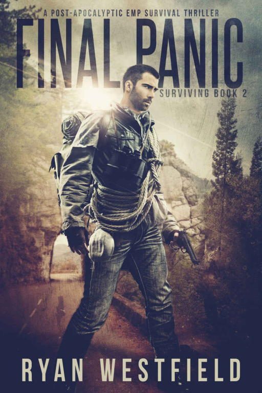 Обложка книги «Final Panic»