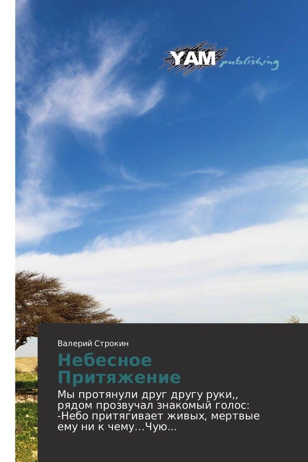 Обложка книги «Небесное Притяжение»