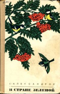 Обложка книги «В стране зеленой»