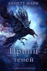 Обложка книги «Принц теней»