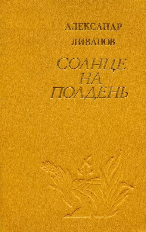 Обложка книги «Солнце на полдень»
