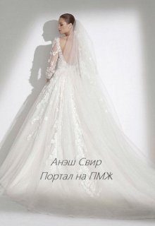 Обложка книги «Портал на ПМЖ»