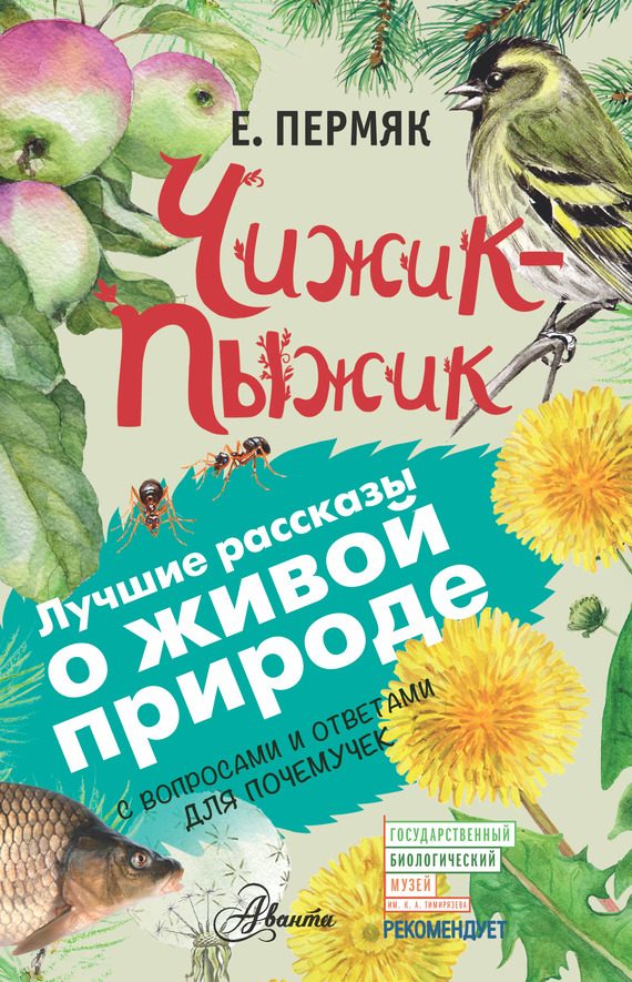 Обложка книги «Чижик-Пыжик»