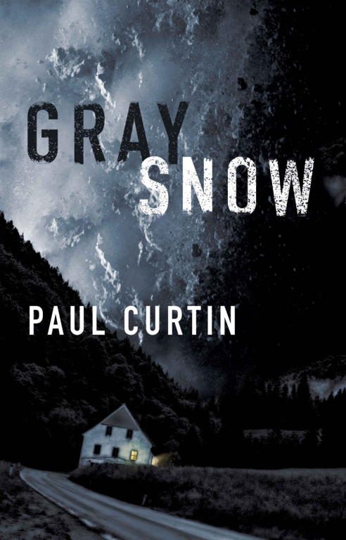 Обложка книги «Gray Snow»