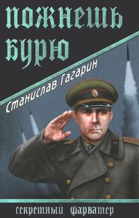 Обложка книги «Пожнешь бурю»