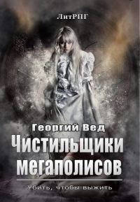 Обложка книги «Чистильщики мегаполисов»