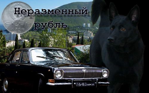 Обложка книги «Неразменный рубль»