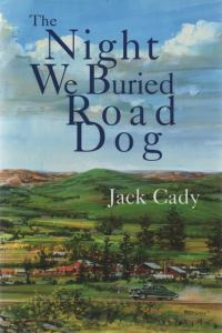 Обложка книги «The Night We Buried Road Dog»