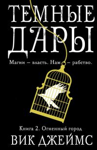Обложка книги «Огненный город»