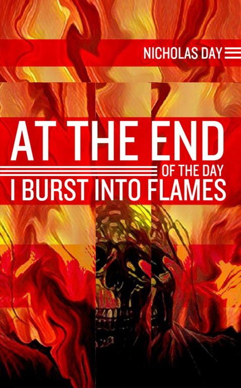 Обложка книги «At the End of the Day I Burst into Flames»