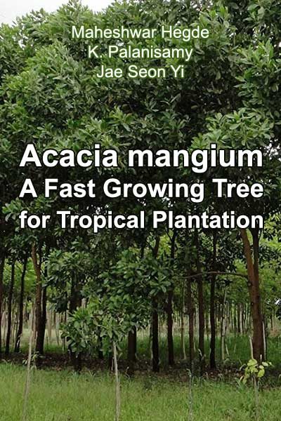 Обложка книги «Acacia mangium Willd. - A Fast Growing Tree for Tropical Plantation»