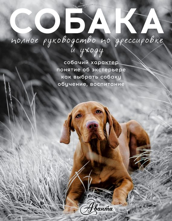 Обложка книги «Собака. Полное руководство по дрессировке и уходу»