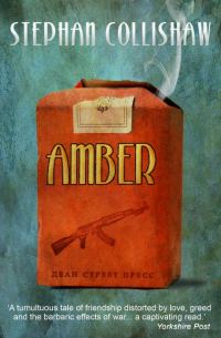 Обложка книги «Amber»