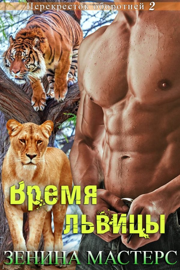 Обложка книги «Время львицы»