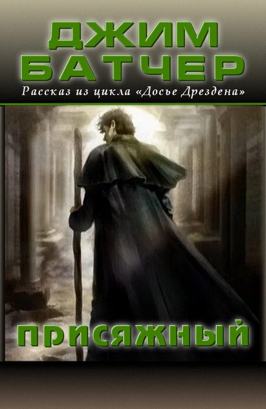 Обложка книги «Присяжный (15.3)»