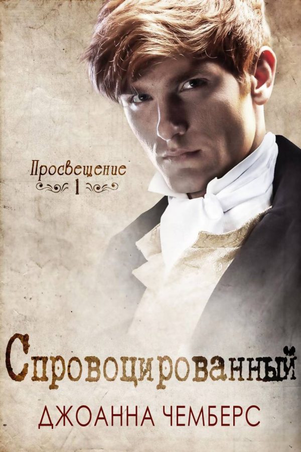 Обложка книги «Спровоцированный»