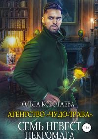 Обложка книги «Семь невест некромага»