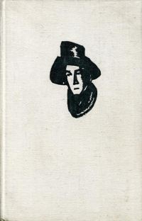 Обложка книги «Безумный лес»
