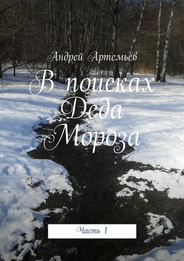 Обложка книги «В поисках Деда Мороза»