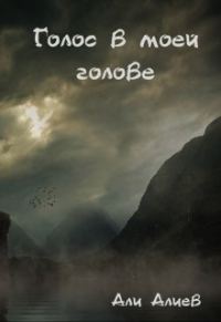 Обложка книги «Голос в моей голове»