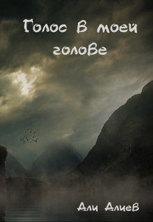 Обложка книги «Голос в моей голове»