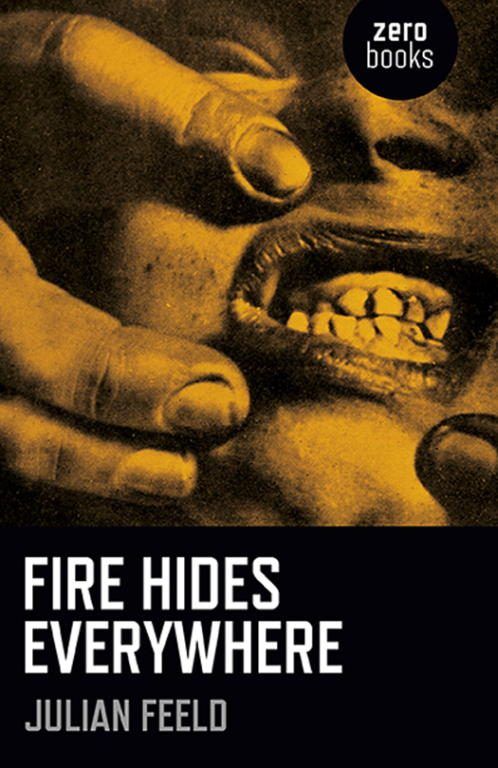 Обложка книги «Fire Hides Everywhere»