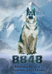Обложка книги «8848»